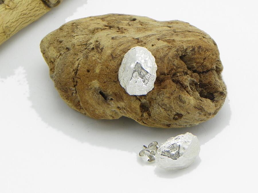 Earrings shell "patella"