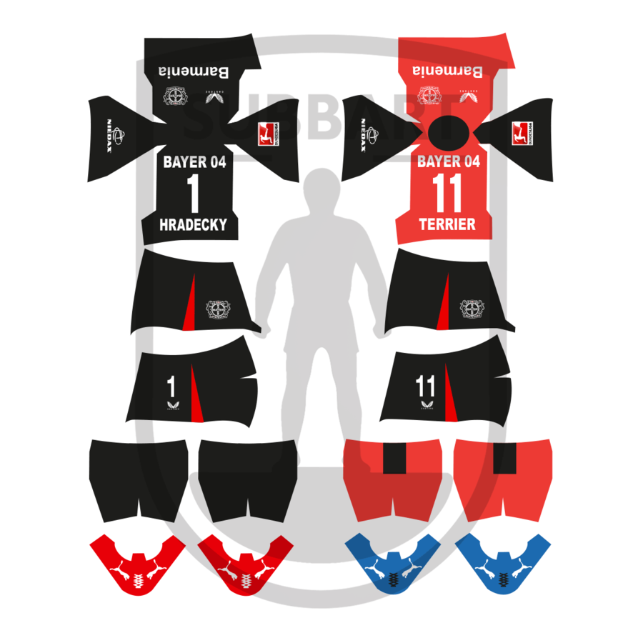 DECALS BAYER LEVERKUSEN 2024-25