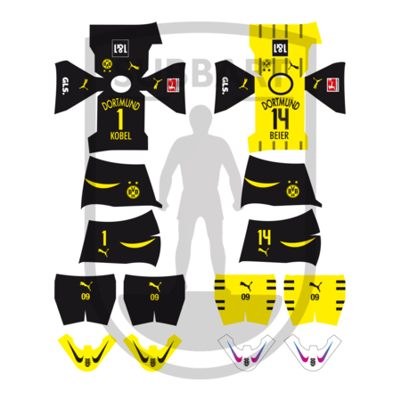 DECALS BORUSSIA DORTMUND 2024-25