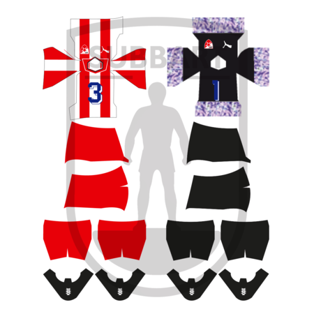 DECALS STELLA ROSSA 1991