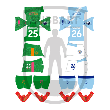 DECALS MANCHESTER CITY 2025/26