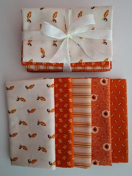 PACK 10 - tessuti americano coordinati 5 fat quarter (5 pz da 50x55 cm) 