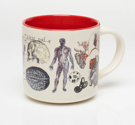 COGNITIVE SURPLUS - Tazza scientifica in ceramica: Vascular Anatomy