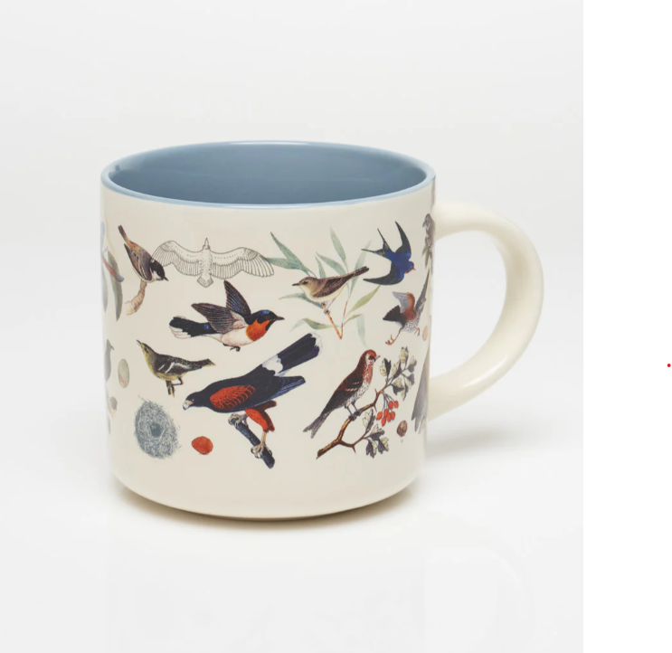 COGNITIVE SURPLUS - Tazza scientifica in ceramica: Birds