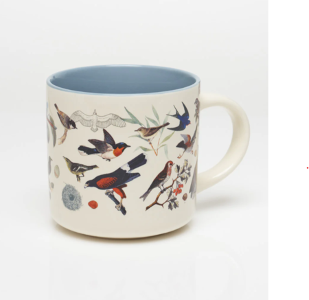COGNITIVE SURPLUS - Tazza scientifica in ceramica: Birds