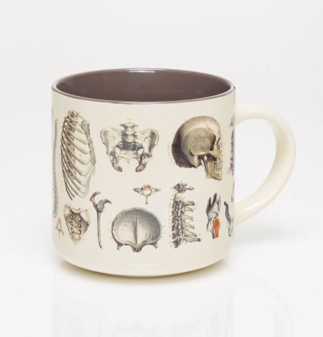 COGNITIVE SURPLUS - Tazza scientifica in ceramica: Skeleton