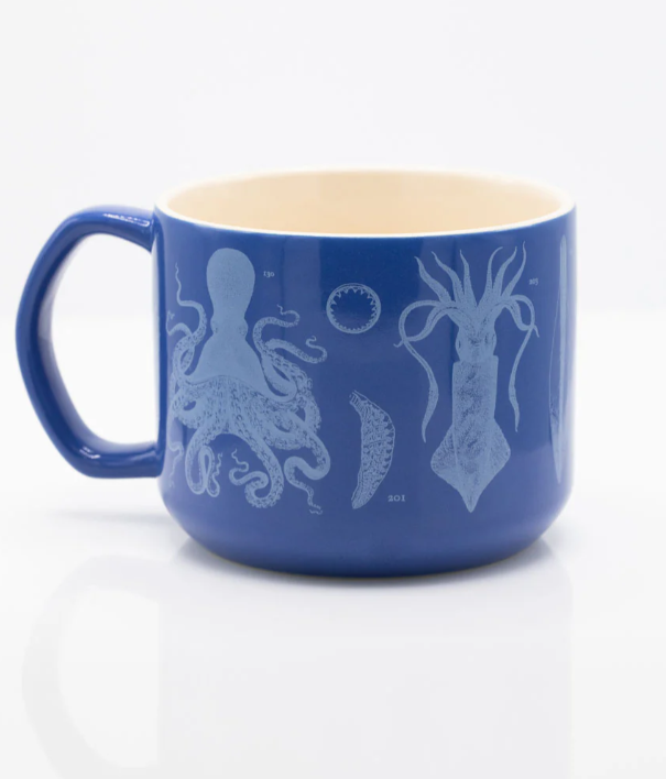 COGNITIVE SURPLUS - Tazza scientifica in ceramica: Cephalopods 
