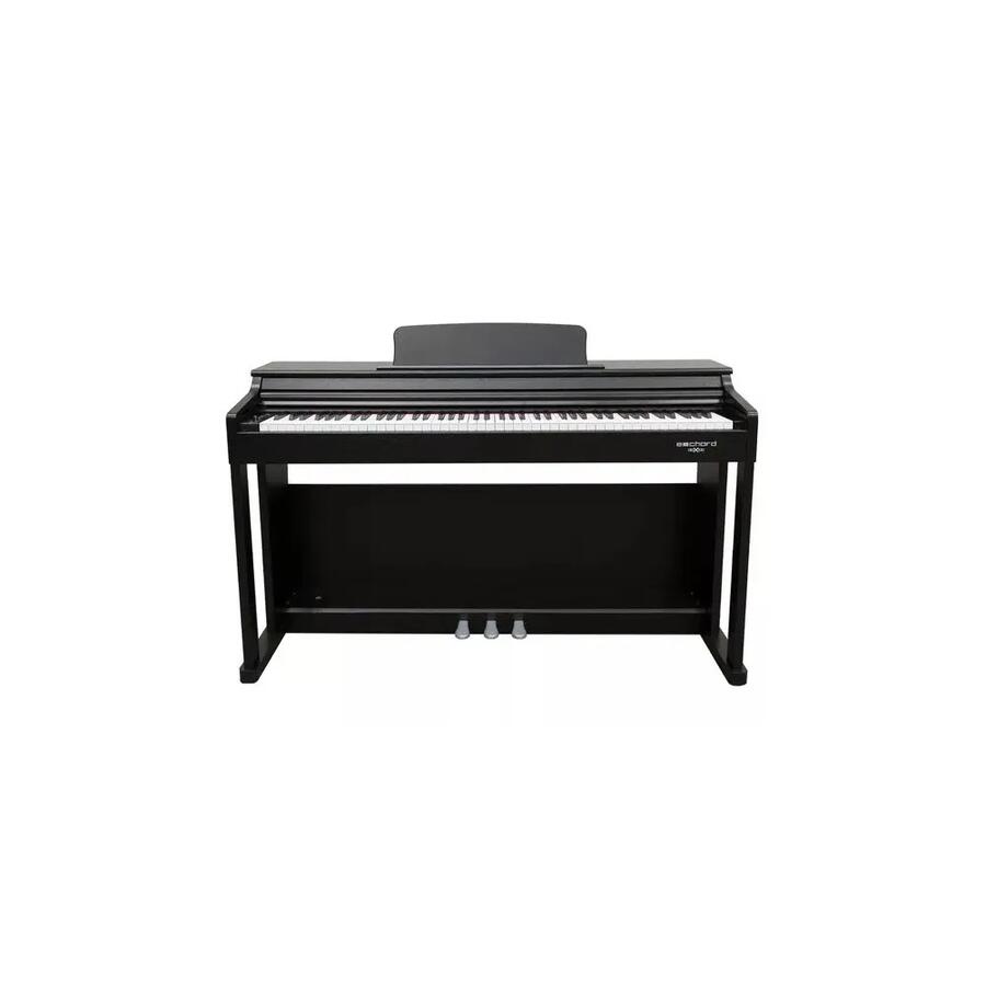 ECHORD DPX100 PIANOFORTE