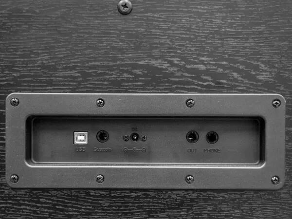 ECHORD DPX100 PIANOFORTE