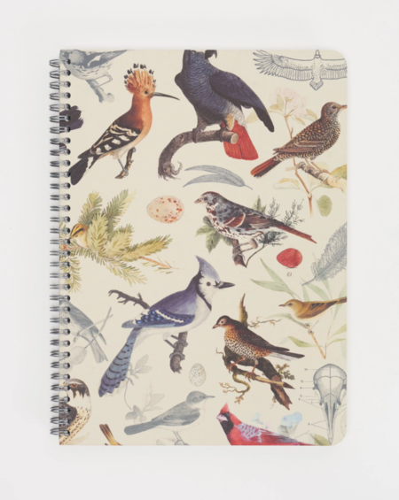 COGNITIVE SURPLUS - Quaderno con copertina rigida spiralato (A5): Feathered Friends Birds Spiral Notebook