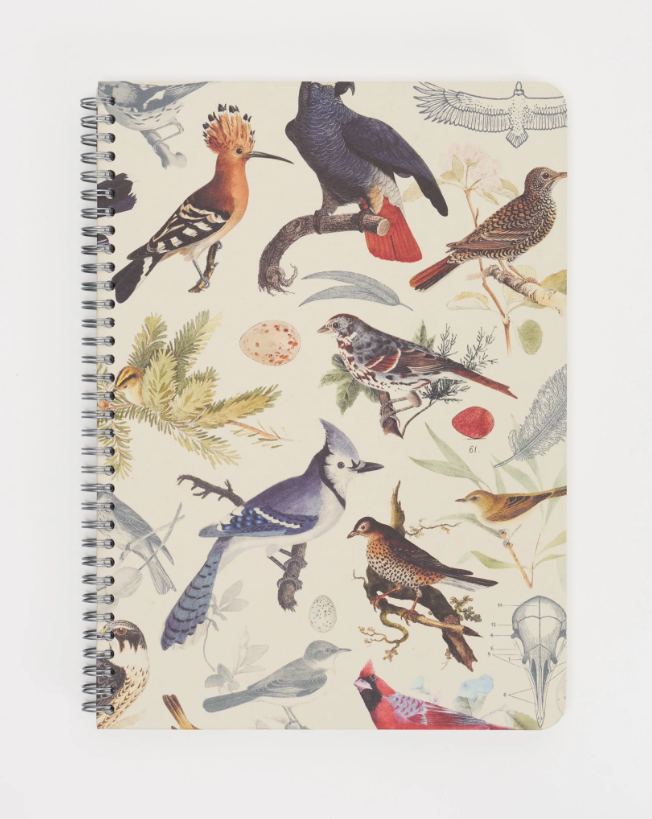 COGNITIVE SURPLUS - Quaderno con copertina rigida spiralato (A5): Feathered Friends Birds Spiral Notebook