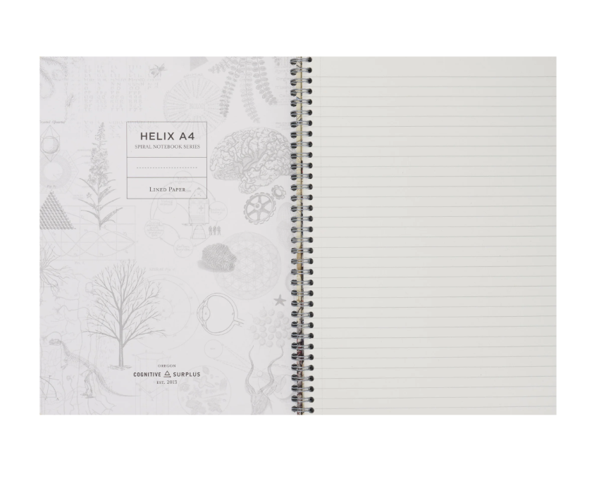 COGNITIVE SURPLUS - Quaderno con copertina rigida spiralato (A5): Feathered Friends Birds Spiral Notebook