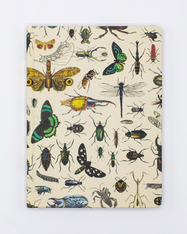 COGNITIVE SURPLUS - Quaderno con copertina rigida (17,5x23 cm): Butterflies & Beetles Hardcover