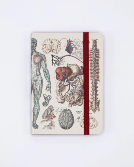 COGNITIVE SURPLUS - Quaderno con copertina morbida (A5): Anatomy & Physiology Softcover Notebook