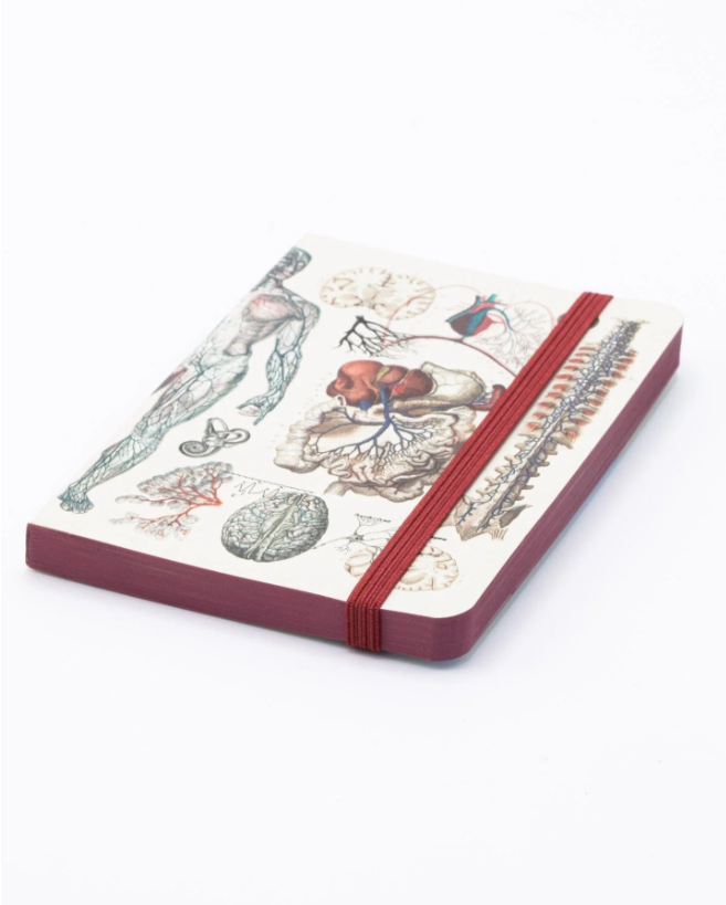 COGNITIVE SURPLUS - Quaderno con copertina morbida (A5): Anatomy & Physiology Softcover Notebook