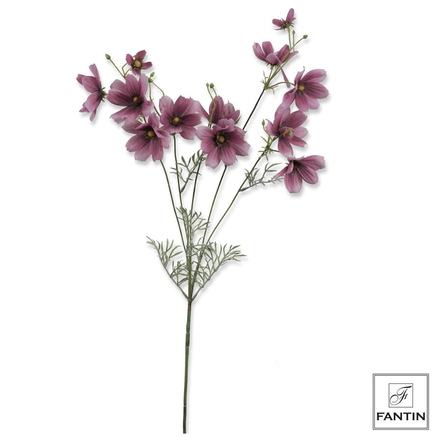 Fantin Argenti - Composizione floreale Cosmos Touch Rosa 