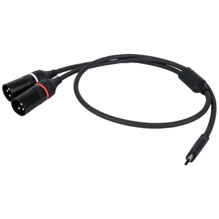 DAP FL112 - Da USB-C a 2 XLR/M 3P