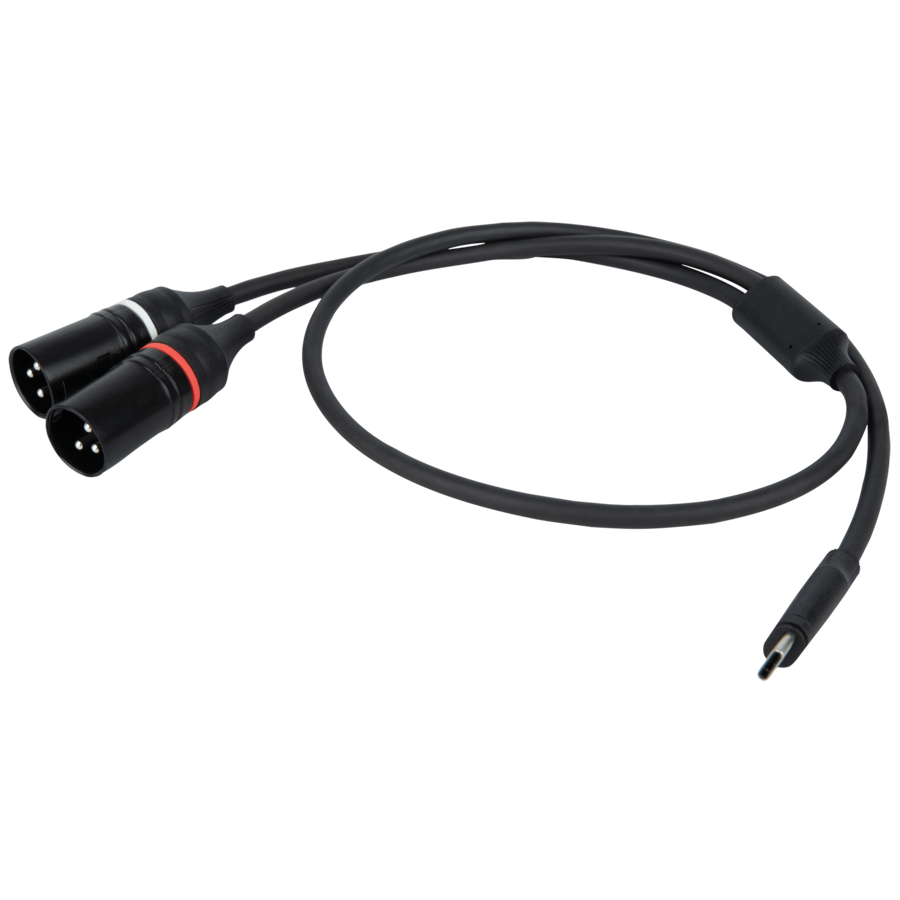DAP FL112 - Da USB-C a 2 XLR/M 3P