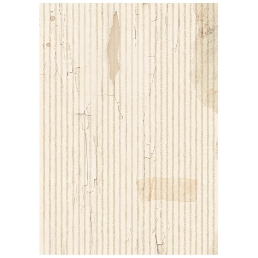 Selezione 8 Carta di riso Fto A6 Backgrounds Family