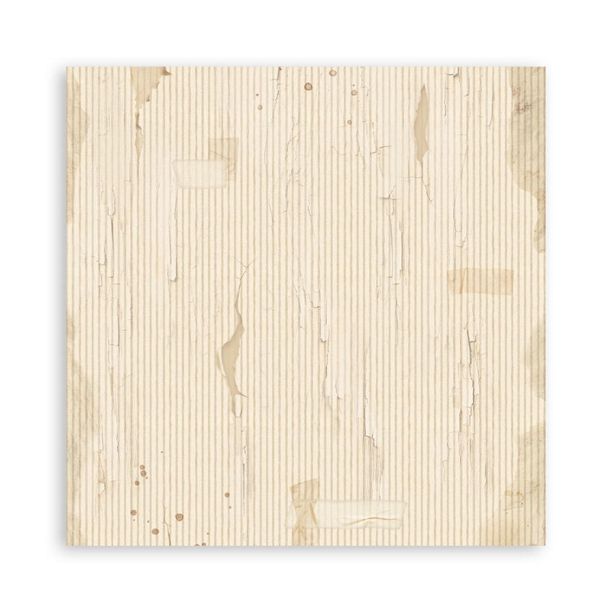 Blocco 22 fogli 30,5 x 30,5 Single Face Family