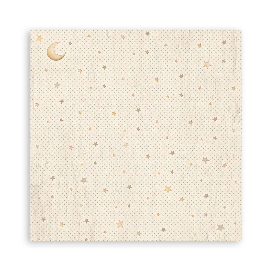 Blocco mini pad 6 fogli 30,5 x 30,5 Double Face Baby