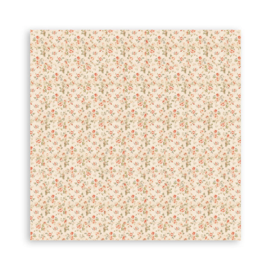 Blocco mini pad 6 fogli 30,5 x 30,5 Double Face Baby