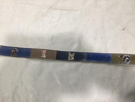 Cintura pelle Cani 2
