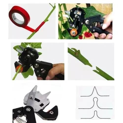 Pinza Innestatrice con 3 innesti Manuale per Piante Fiori Omega Gemme Frutti