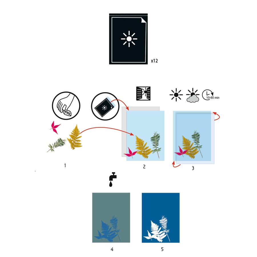 Cianotipia - 12 fogli