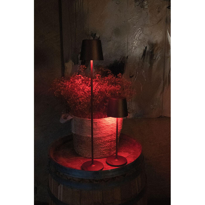 Showtec EventLITE Table-SW Bianco