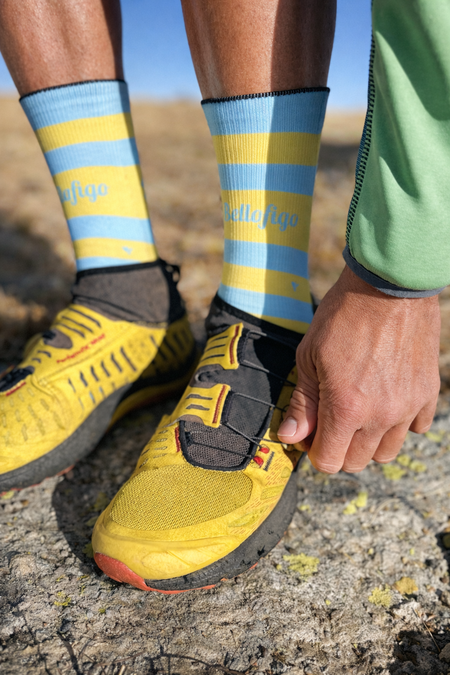 Socks Stripes Bellofigo