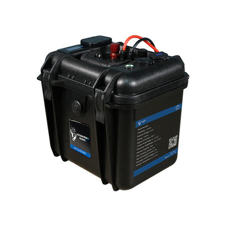 Batteria al litio Ultimatron LiFePO4 Litio 25.6V 50Ah - Bluetooth