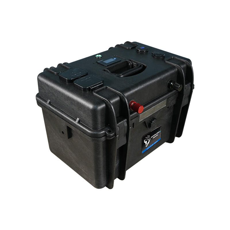 Batteria al litio Ultimatron LiFePO4 Litio 25.6V 100Ah - Bluetooth