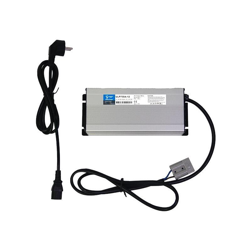 Caricabatterie LiFePO4 litio 12V 30A 