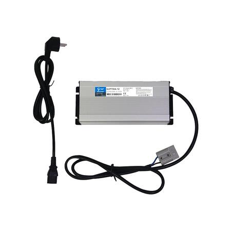 Caricabatterie LiFePO4 litio 12V 30A 