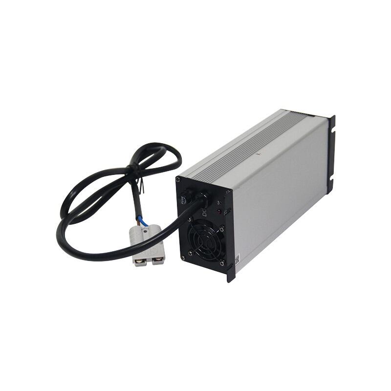 Caricabatterie LiFePO4 litio 24V 30A 