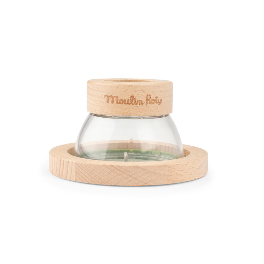 Piccola scatola di osservazione 