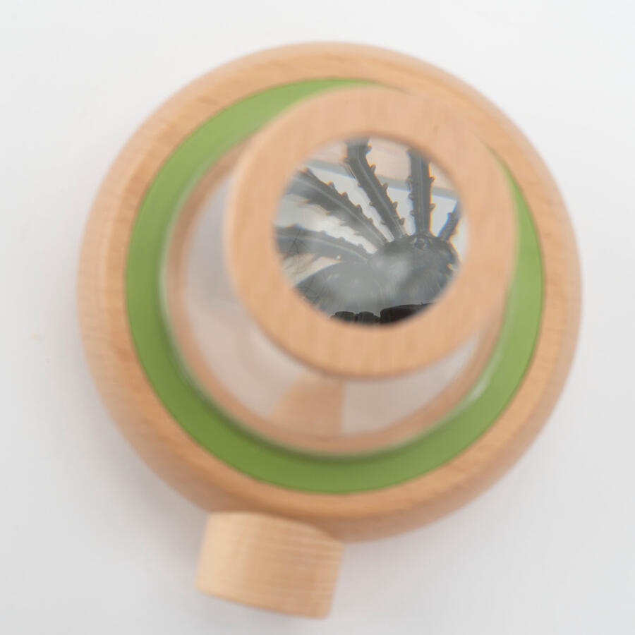 Grande scatola di osservazione