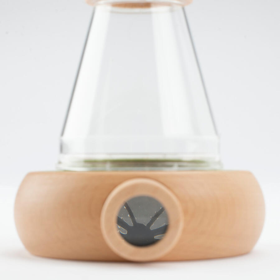 Grande scatola di osservazione