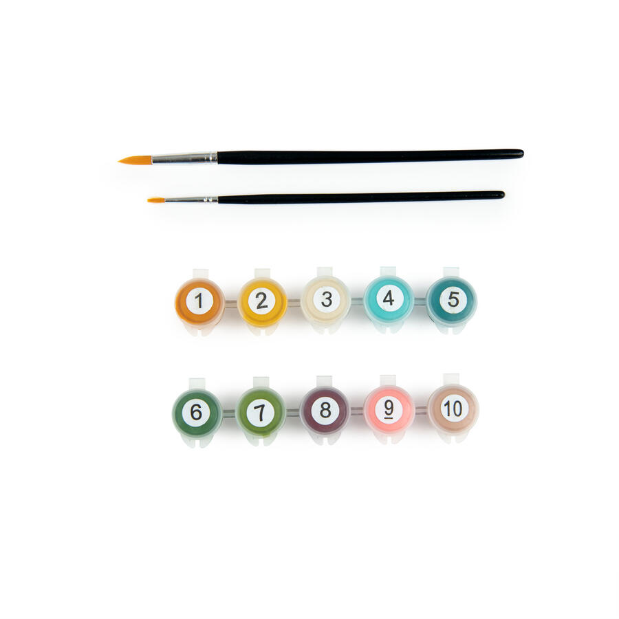 Dipingere con i numeri Les Rosalies