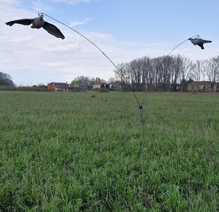 Giostra completa di 2 colombacci in volo super leggeri con ali in microfibra