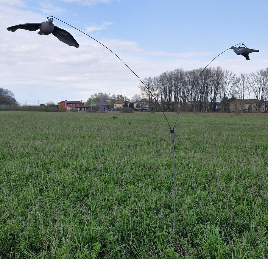 Giostra completa di 2 colombacci in volo super leggeri con ali in microfibra