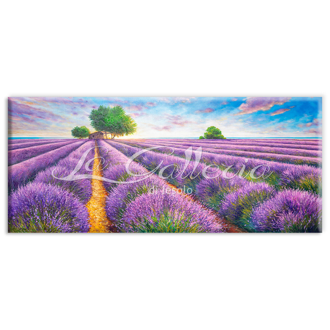 Profumo di lavanda cm 180x80
