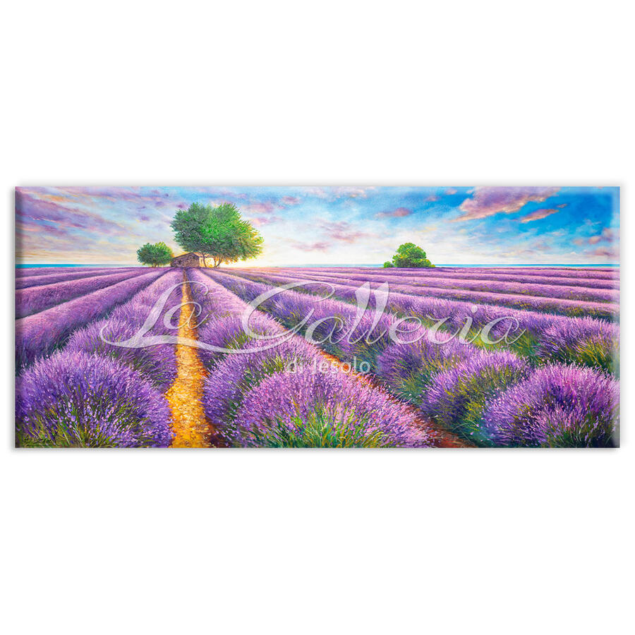 Profumo di lavanda cm 180x80