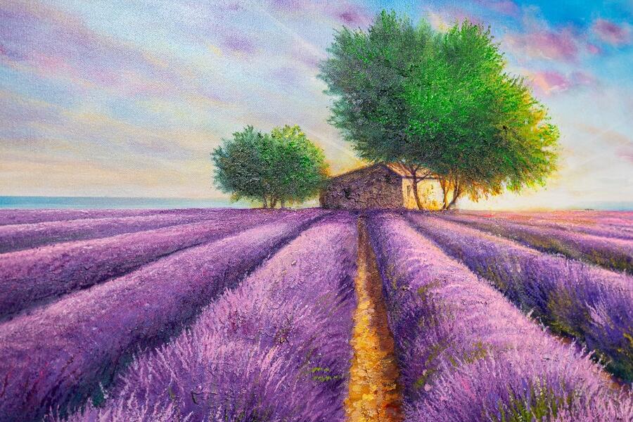 Profumo di lavanda cm 180x80