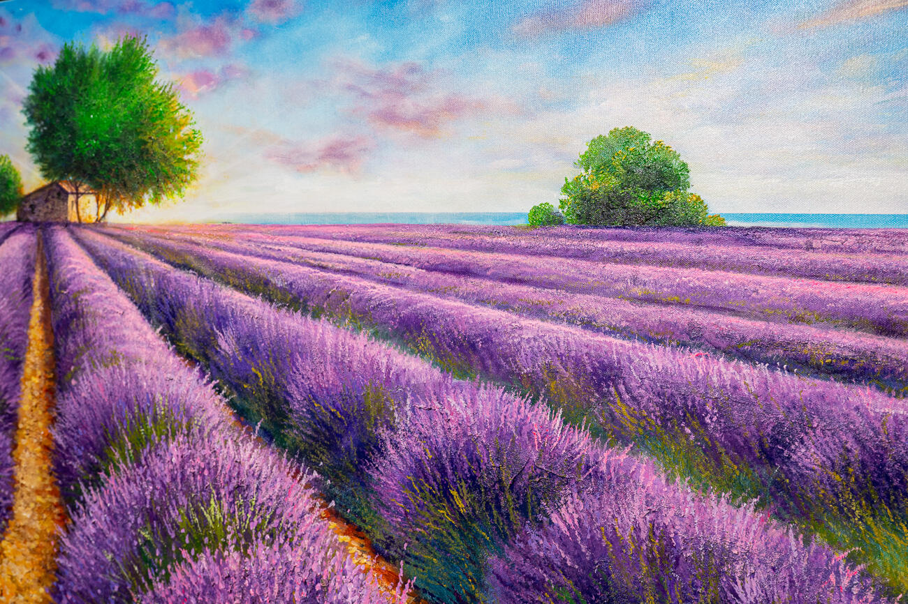 Profumo di lavanda cm 180x80