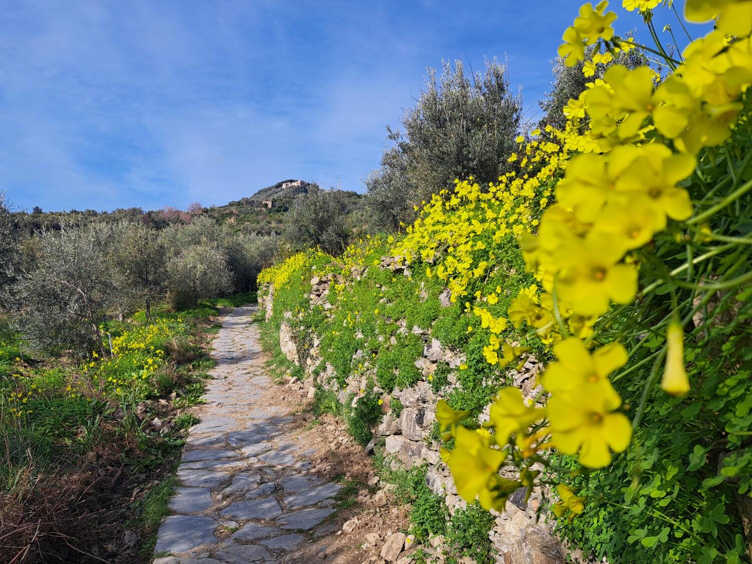 TRA MARE E MONTI - Levanto.  Escursione su richiesta