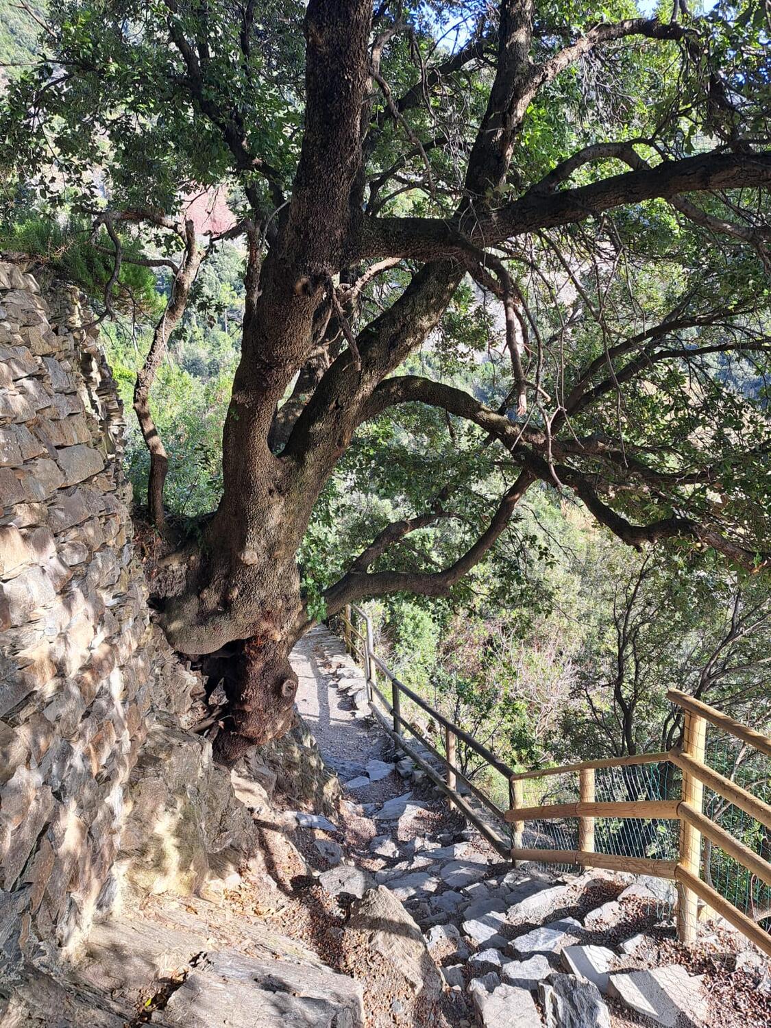 TRA MARE E MONTI - Levanto.  Escursione su richiesta