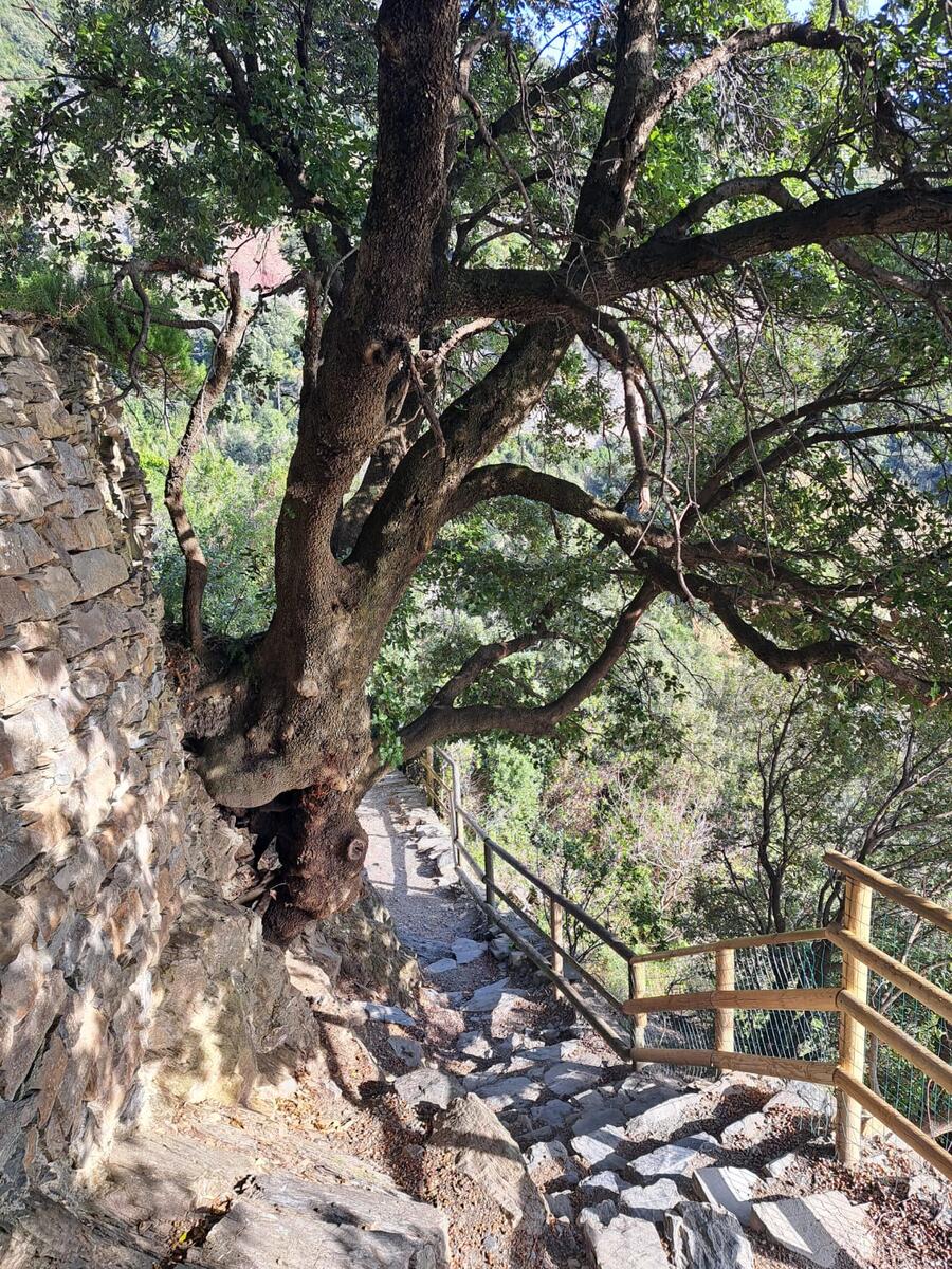TRA MARE E MONTI - Levanto.  Escursione su richiesta