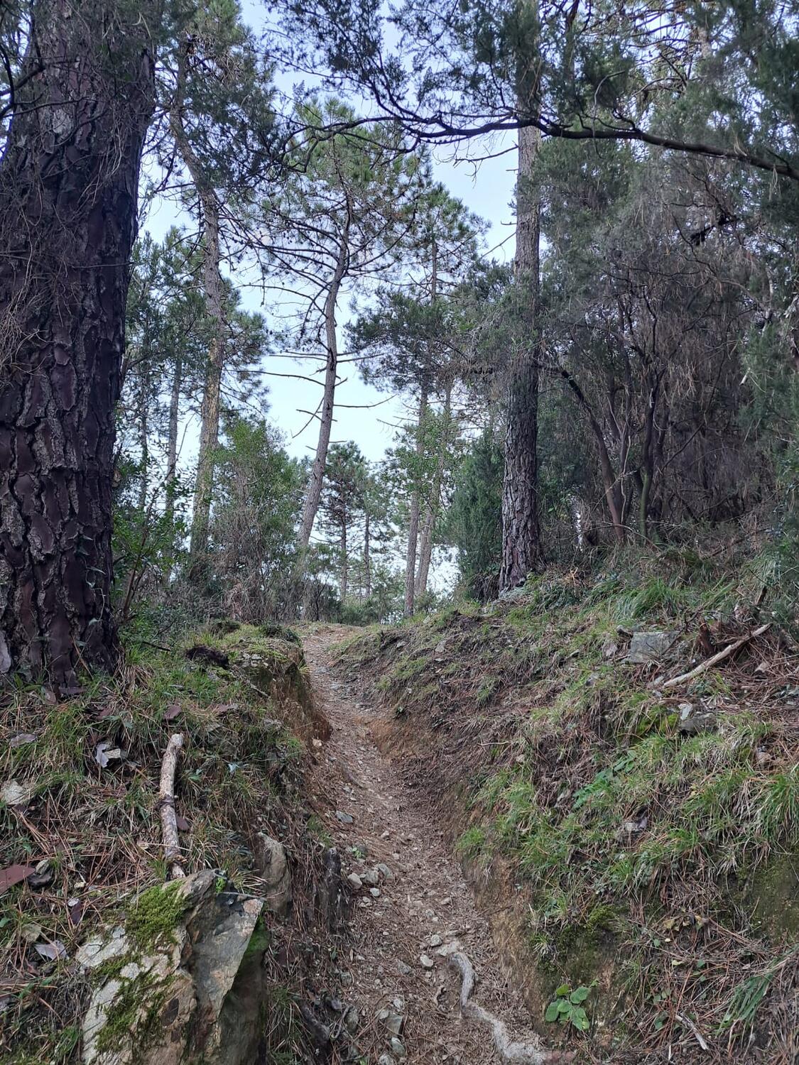 TRA MARE E MONTI - Levanto.  Escursione su richiesta